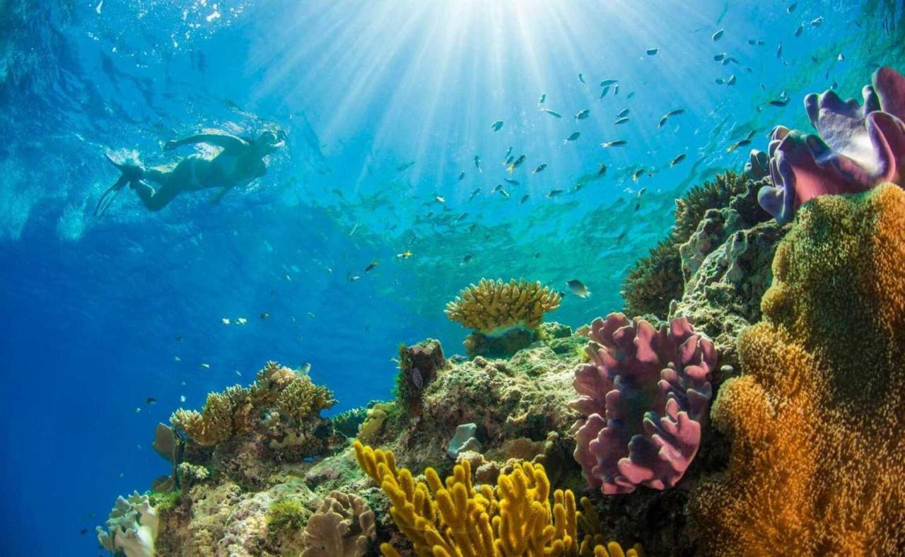 Upani In Diani Panzió Diani Beach Kültér fotó