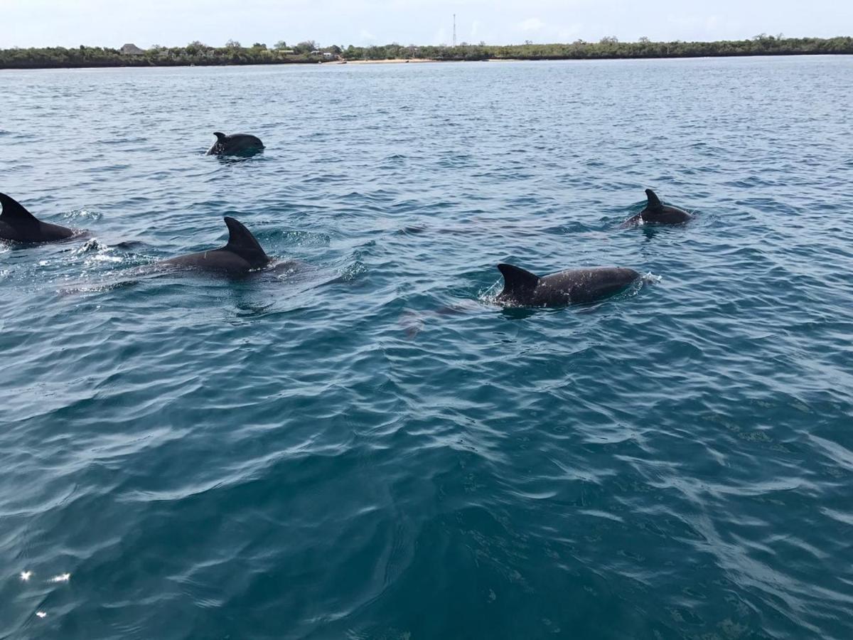 Upani In Diani Panzió Diani Beach Kültér fotó